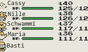 Castbild Teams